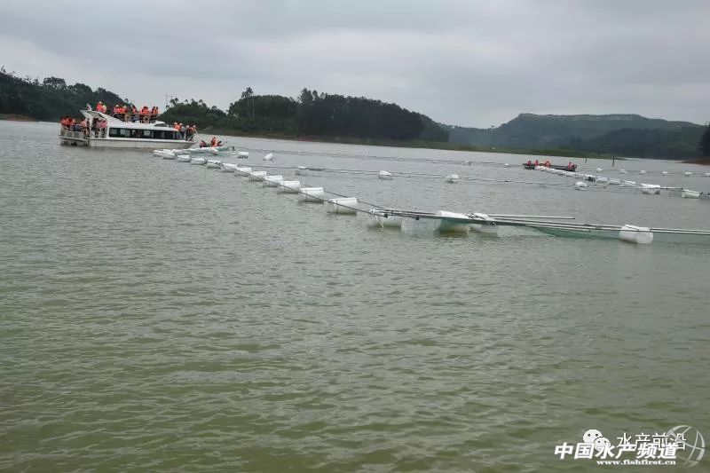 ���e(cu��)��P���@Щ�˯��񓌽��W(w��ng)�䣬�̶�ʮ������10�fƽ�ף��Y(ji��)������