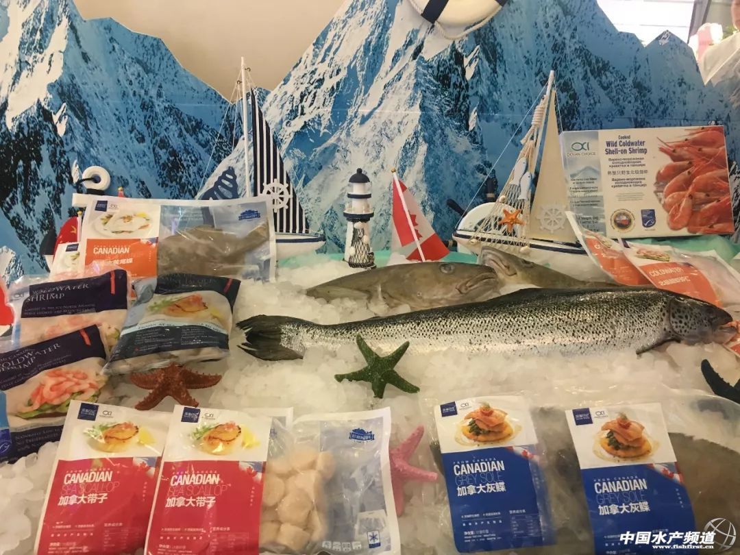 ���ô��r������¡���_�����ӝO�I���^OCI�y�����u���N���y�����F������Ұ������ֱ�_�Ї�����֮����