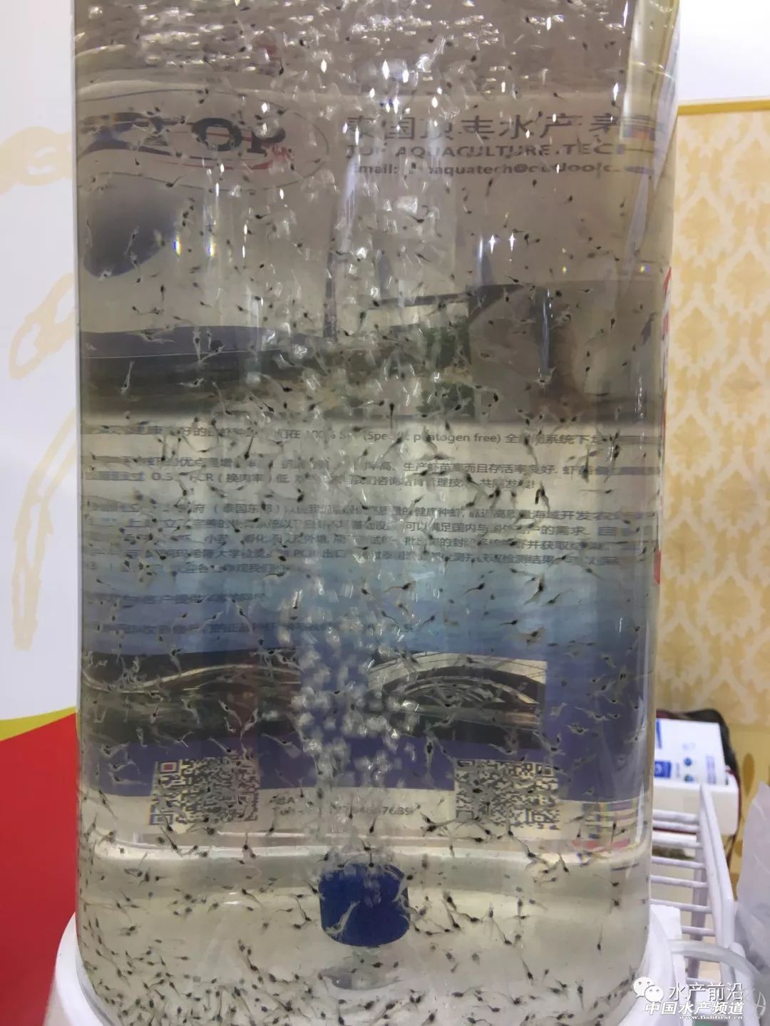 ���d��������S...�װټ���I�®aƷ���ڿƼ������ˣ�ˮ���������