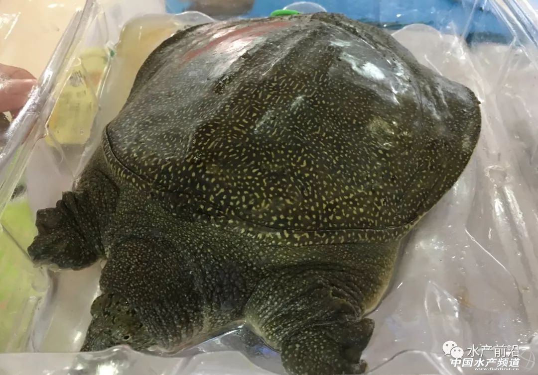 ���d��������S...�װټ���I�®aƷ���ڿƼ������ˣ�ˮ���������