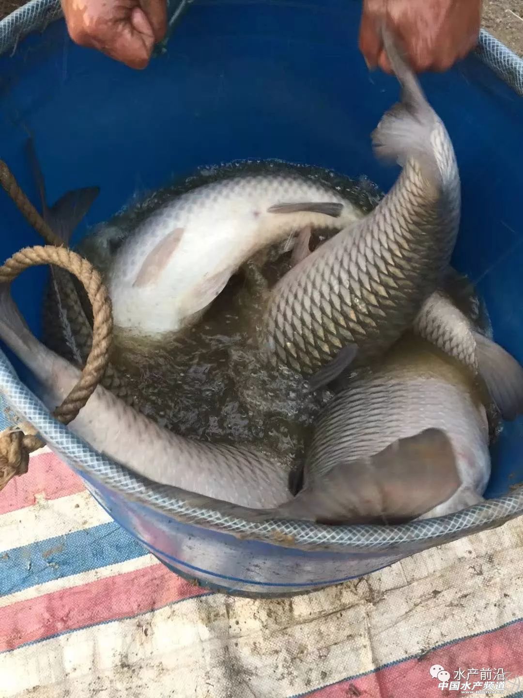 �������ɱ��q300��Ԫ/�����~�r�s߀���µ���������~�����B(y��ng)��