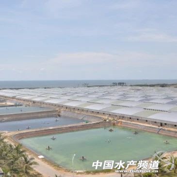 ��������l(f��)���(qi��ng)�����Ξ鰲ȫ�ɿ��r�磿��Ҫһ�����}�͹ַN�r