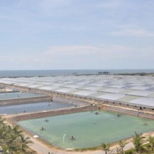 ��������l��������Ξ鰲ȫ�ɿ��r�磿��Ҫһ�����}�͹ַN�r