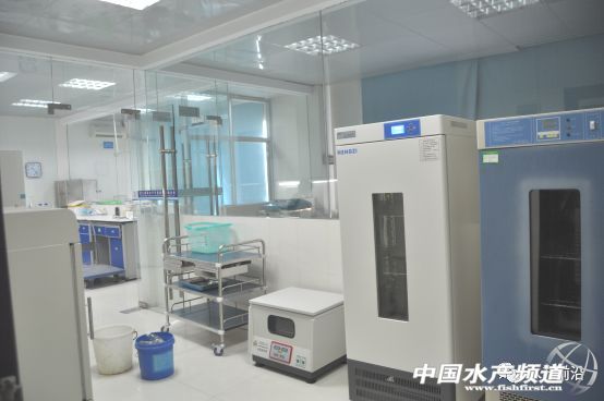 ���ı��`������������l��������Ξ鰲ȫ�ɿ����r�磿��Ҫһ�����}�͹ַN�r