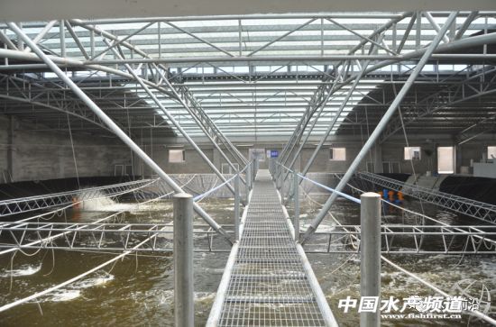 ���ı��`������������l��������Ξ鰲ȫ�ɿ����r�磿��Ҫһ�����}�͹ַN�r