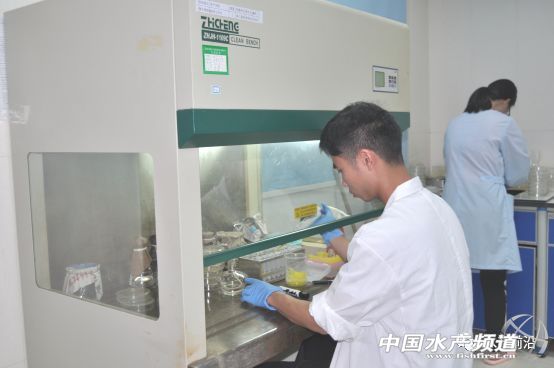 ���ı��`������������l��������Ξ鰲ȫ�ɿ����r�磿��Ҫһ�����}�͹ַN�r