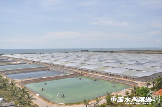 ���ı��`������������l��������Ξ鰲ȫ�ɿ����r�磿��Ҫһ�����}�͹ַN�r