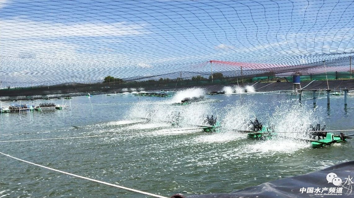 �@Щ�B(y��ng)�rģʽ��ֵ�ÿ������ɹ����ձ�8-9�ɣ�Ҏ(gu��)��15�^/�