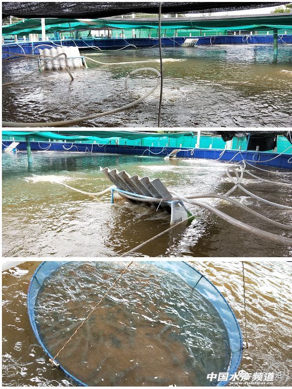 ���ܶȾ��B�ɹ����ձ�8-9�ɣ�Ҏ���_15�^/��@Щ�B�rģʽ��ֵ�ÿ���