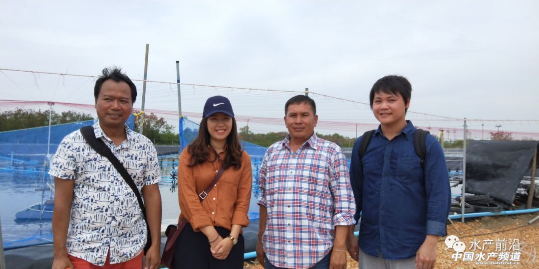 ���ܶȾ��B�ɹ����ձ�8-9�ɣ�Ҏ���_15�^/��@Щ�B�rģʽ��ֵ�ÿ���