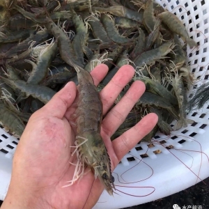 ���̧�rҪ�r�����٬F�������r�r�R��ͣ�q����6��20�������׌��r�r������