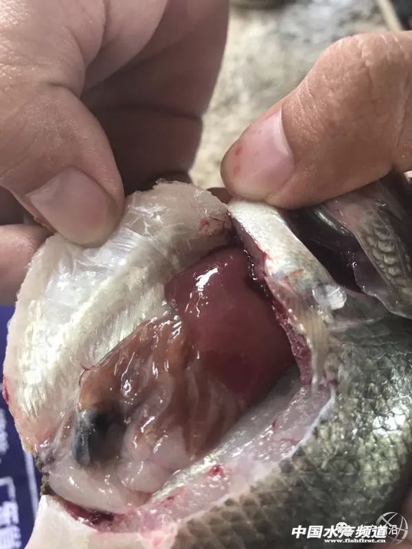 ���19Ԫ�������|�r���¸����������������~������Ҫ�����@ʮ�c |�ܴ�����ؼs