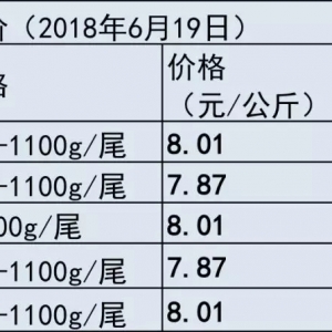 ��ɳ�~ԭ�σr�񷀶��������Ј����󏊄�