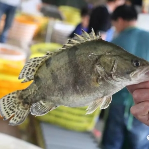 �D���~���Z�~��r���j�������Z�~�ֵ��ˣ�����2018��6��21�չ��~�r������