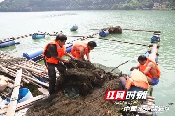 �Ĵ��Ї��ٟo�W���B�~�������������ϡ��F�ݡ��Ĵ����V��...ȫ��������࣬����ҵĆ᣿