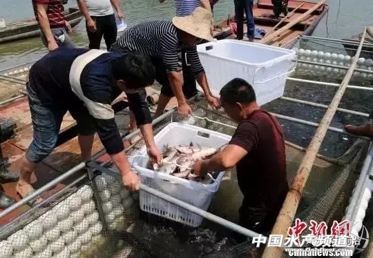 �Ĵ��Ї��ٟo�W���B�~�������������ϡ��F�ݡ��Ĵ����V��...ȫ��������࣬����ҵĆ᣿