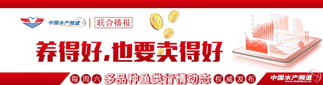 �_�r����12Ԫ�����|�����~�����S�~���S��_���~�r�S�������K�����~�����ߵ�