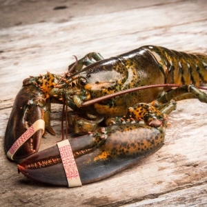 �������鿴�q�����ô��P(gu��n)�����{(di��o)�����M�������P(gu��n)��ͨ