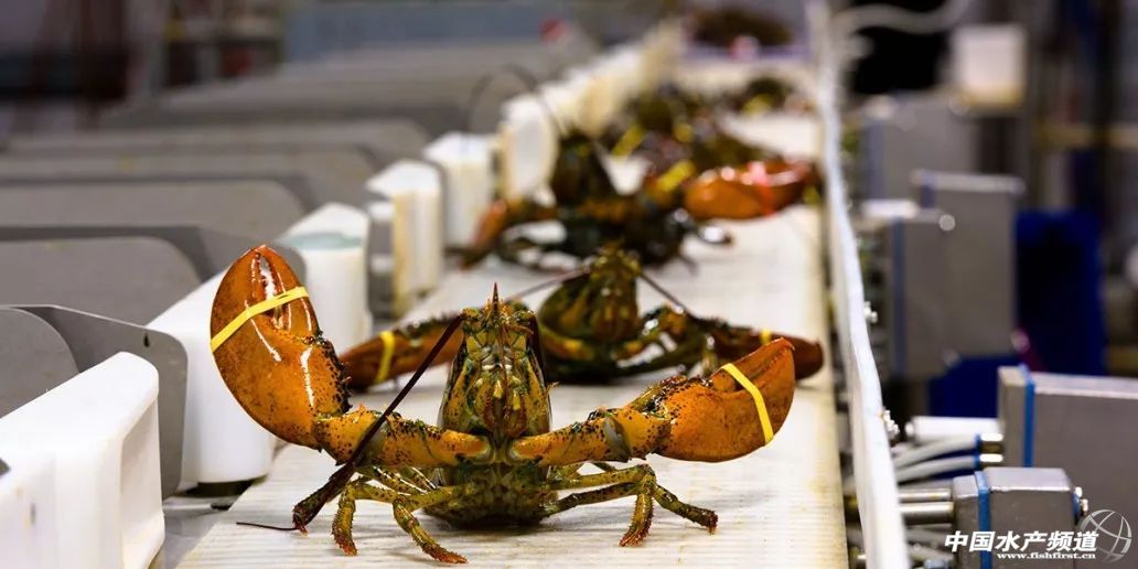 ���ځ��R���������鿴�q�����ô��P�����{�����M�������P��ͨ