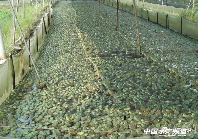 �o�����@�����TƷ�NͻȻ�������ˣ����ֵ؅^��ȫ��⚢���B�����л򱩝q���@һٍ�XƷ�N�����Ҫ����