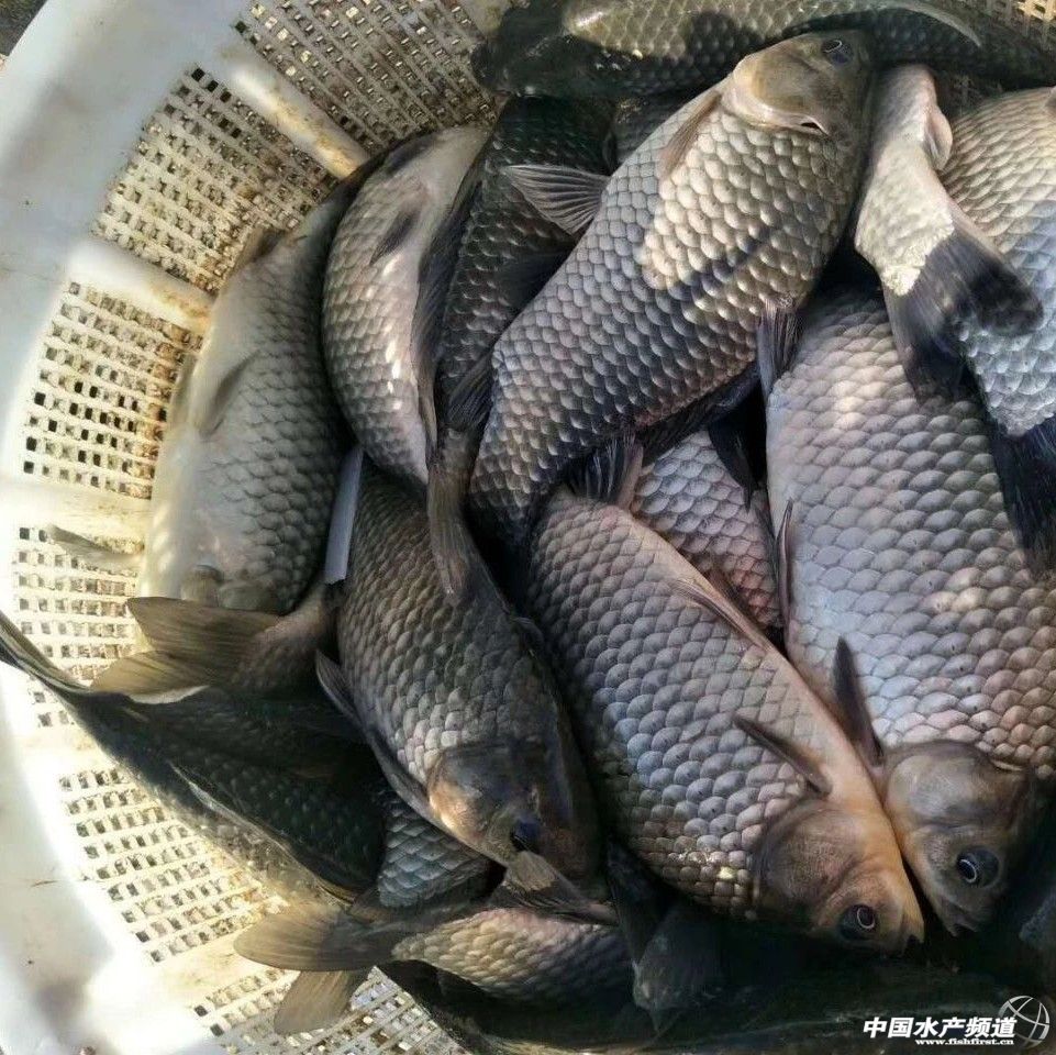 Ҫ�q�ˣ��A�С��A�|�������؅^(q��)�a�~�ϝqڅ�����@��