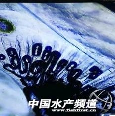 ���r���ݲ�һֱ��ܠ��h�������Ǵ��چ᣿