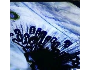 ���r���ݲ�һֱ��ܠ��h�������Ǵ��چ᣿