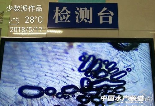 �������v�Č��r���ݲ����ЈD��������