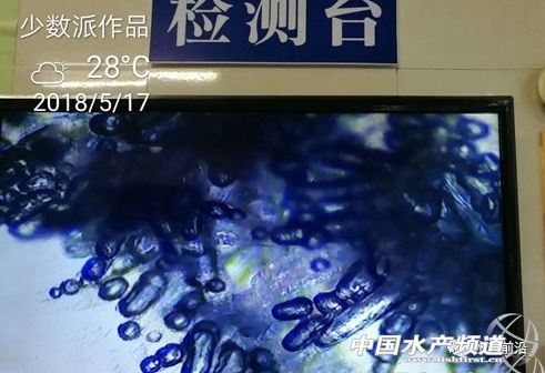 �������v�Č��r���ݲ����ЈD��������