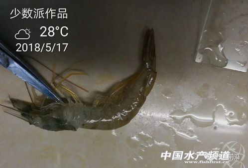 �������v�Č��r���ݲ����ЈD��������