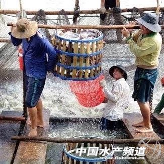 �R���ϝq����ɳ�~���Ѓr�񿴝q����ٴ̼��Ј�����