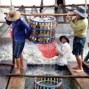 �R���ϝq����ɳ�~���Ѓr�񿴝q����ٴ̼��Ј�����