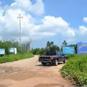 �V���������y���^(q��)���_ˮ�a(ch��n)�B(y��ng)ֳ��Ⱦ����֪ͨ���B(y��ng)ֳ��ֱ�����y����