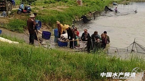 �ϰ����B(y��ng)ֳ��(li��n)�ό����ڄ�������Ŕ࣬���Լ���ȡ����