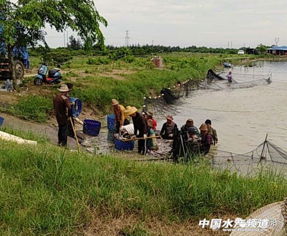 ������ģ�