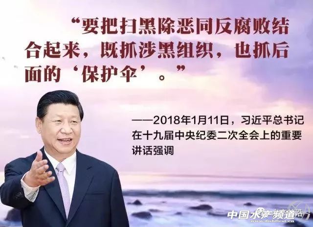 ȫ���ߺڳ����e��Wվ