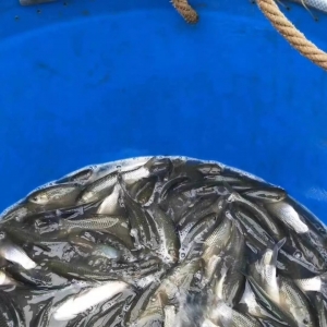 ���������ַ��Bҹ�꣬ˮ�a�Bֳ���ܟo�Σ�����2018��7��3�ղ��~���^�r