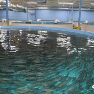 ����ѭ�hˮ�Bֳ���������������d����������δ���Ĵ����څ��