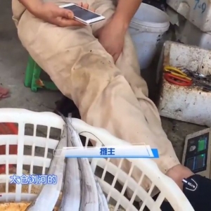 ���O���û������~ð�����r���~���ϰ���̓���������P���f