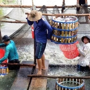 ��ɳ�~�r��ȫ���µ�����ɳ�~�a�I��ؚw����˼���Ј�