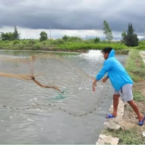 ���r�a�I朵ķ�˼���B�r�˵�����ȥ���ˣ�