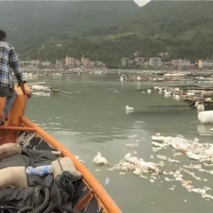 �ܶ��18��(j��)�����_(t��i)�L(f��ng)�����Q��ˮ�B(y��ng)ֳ������������ʽ�W(w��ng)��ÿ���?y��n)��B(y��ng)�����?c��i)?sh��)�|Ԫ���ϵēp ...