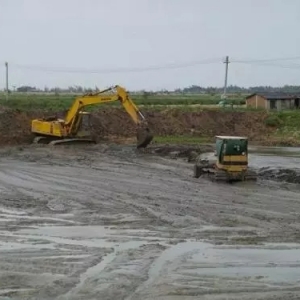 �ذ������Ͻ^�󲿷ַN���Ҫ��ʧ��2020��ȫ�����˲��ϡ�Ҏ(gu��)����ˮ�a(ch��n)�B(y��ng)ֳ��