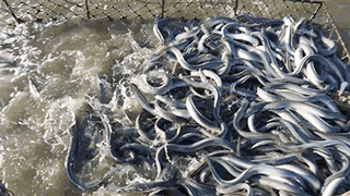 �Зl�����B�@�l�~��aֵ29�|��������������һ�������@�Gȫ����