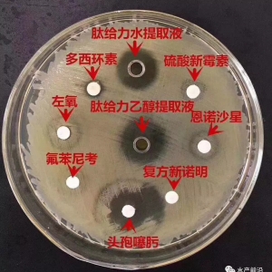 �o�����@һ�������ϻ�?q��)����I(l��ng)ˮ�a(ch��n)�B(y��ng)ֳ����o���r(sh��)����