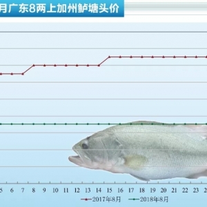 �j�����ߜ؎����߃r����ʡ�����|�r���ϝq���3Ԫ/����|7����