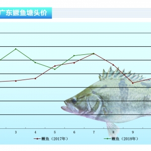 �Z�~�������p�� ��������������ˮ�aǰ�ء�2018��8�¿��Ј�څ��