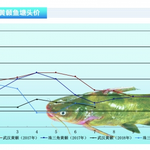 �S��~����λ�\�� �q����һ������ˮ�aǰ�ء�2018��8�¿��Ј�څ��
