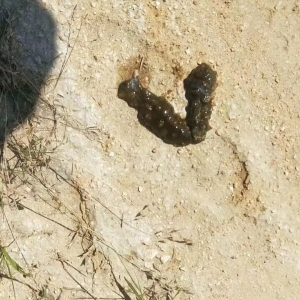 ج����40��ߜ��u�����|��80-90%�����^�ջ�pʧ�װك|���AӋ���r����j�q��50%