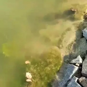 ʹʧ300�|�����B���躣���I�ڵ�ȫ���漱���ߜ�׃���Ӆ���Ű�����Bֳ����܇���K���녢�� ...